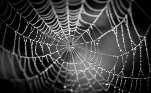 This Dark Web Market is Planning to Add Support for Ethereum