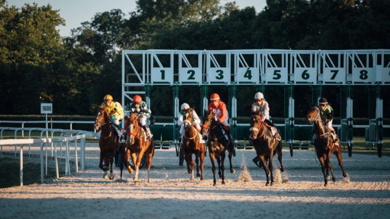 A 97% Favorite Lost at Goodwood and the Bookmakers Still Took a Hit