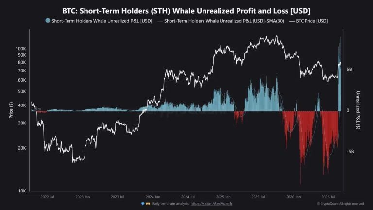 Bitcoin’s $9.07B Whale Profit Record Puts Rally Floor to Test