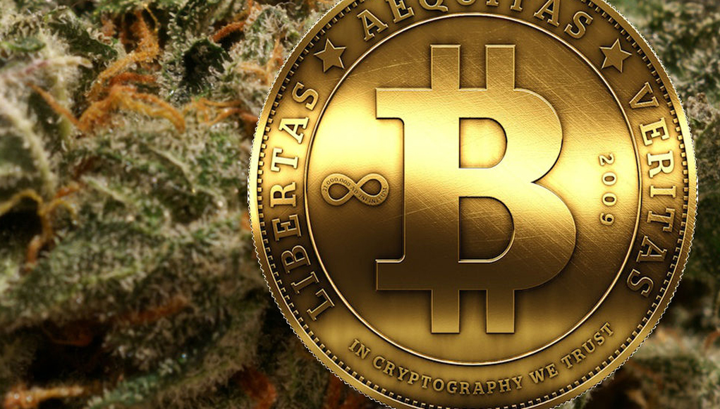 Cannabis Security Firm Goes Bitcoin to Solve Industry’s Banking Problem