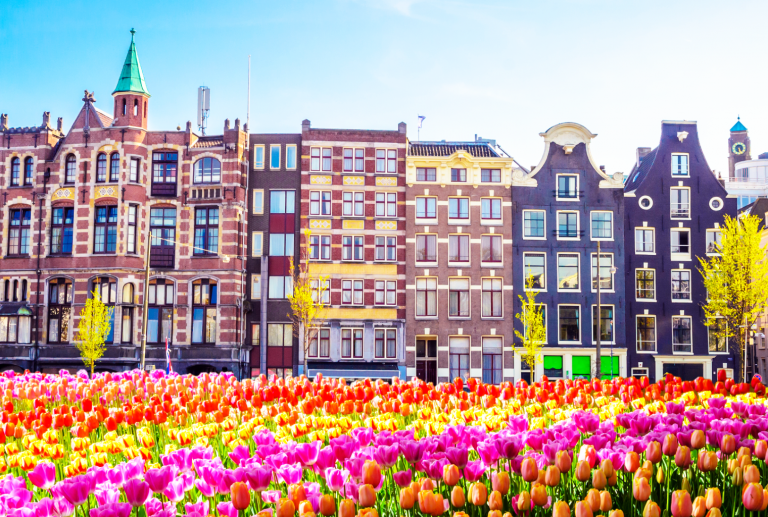 Dutch Central Bank Prepares to Start Regulating Crypto Sector